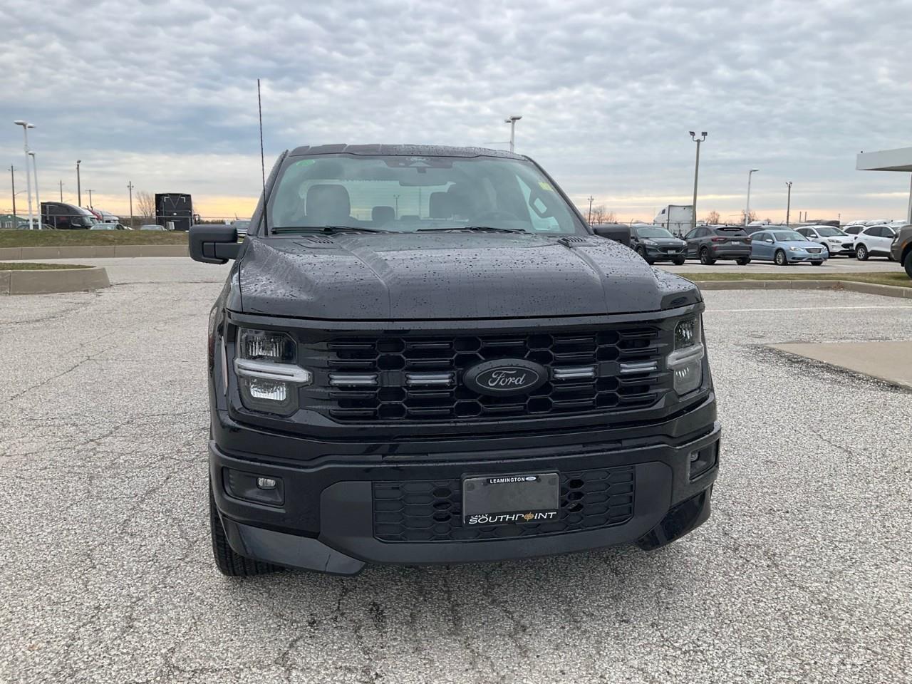 2026 Ford F-150 STX Photo
