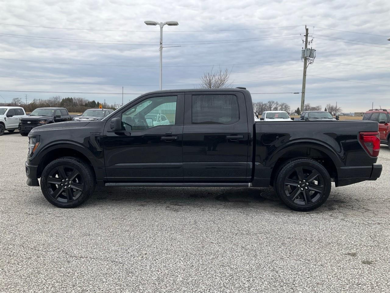 2026 Ford F-150 STX Photo