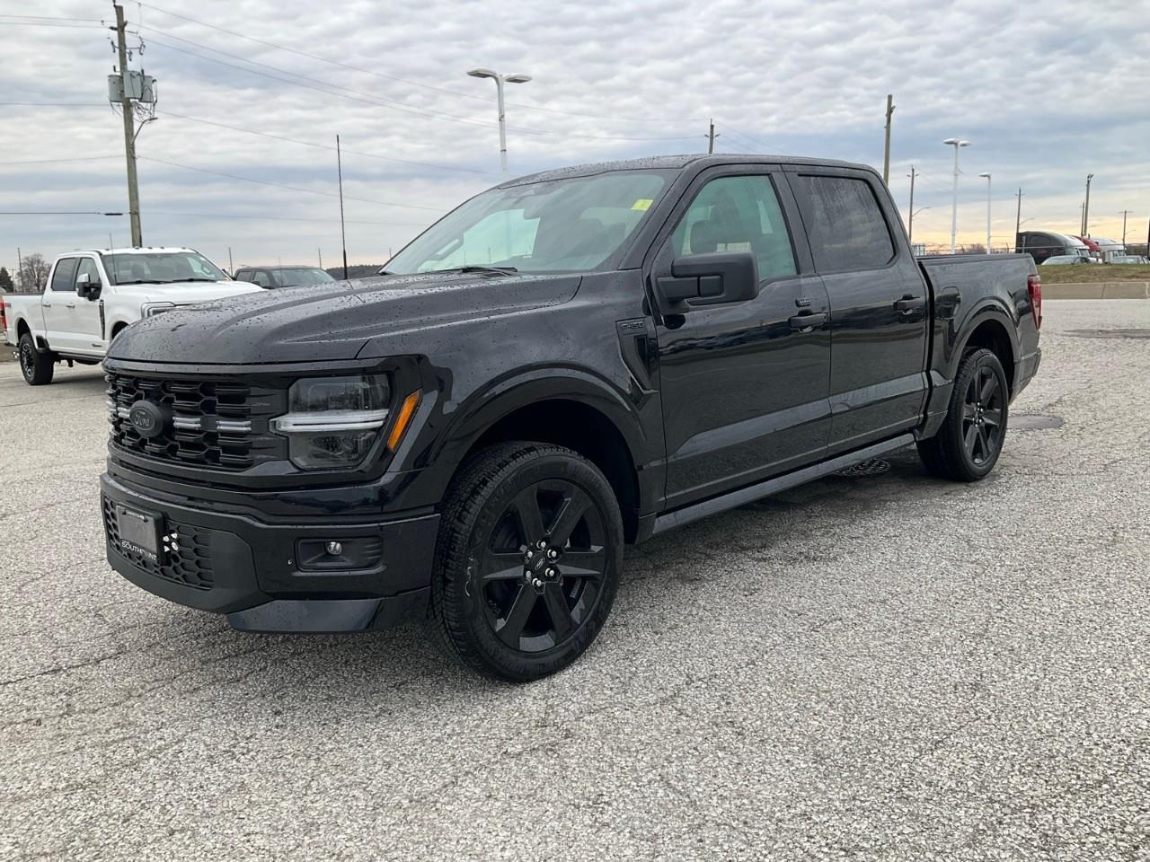 2026 Ford F-150 STX Photo