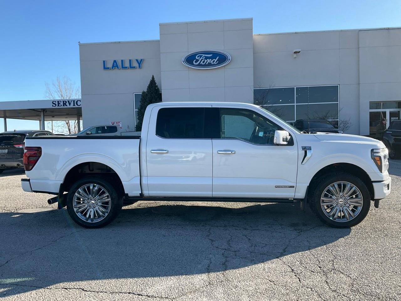 2026 Ford F-150 Platinum Photo3