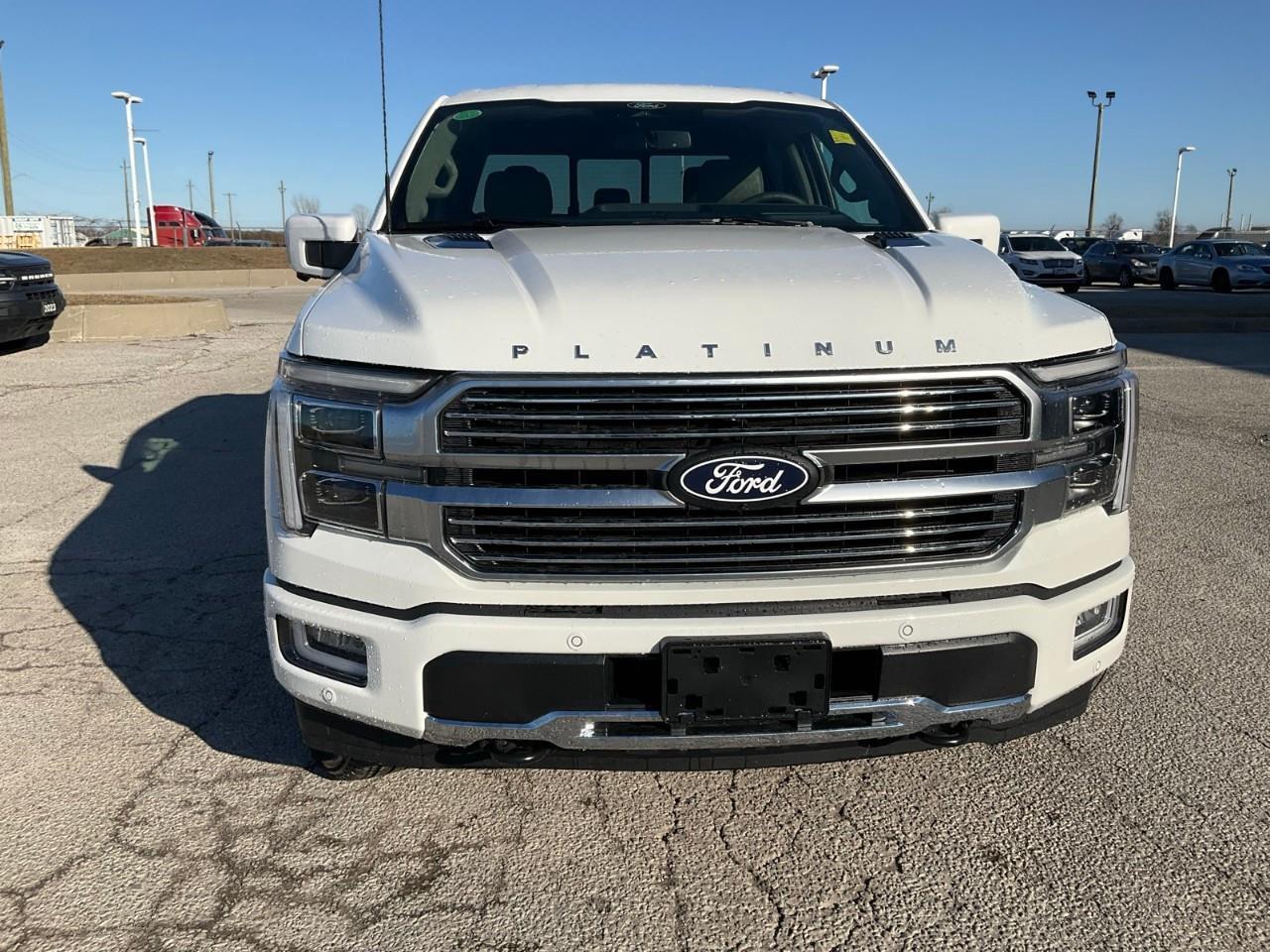 2026 Ford F-150 Platinum Photo