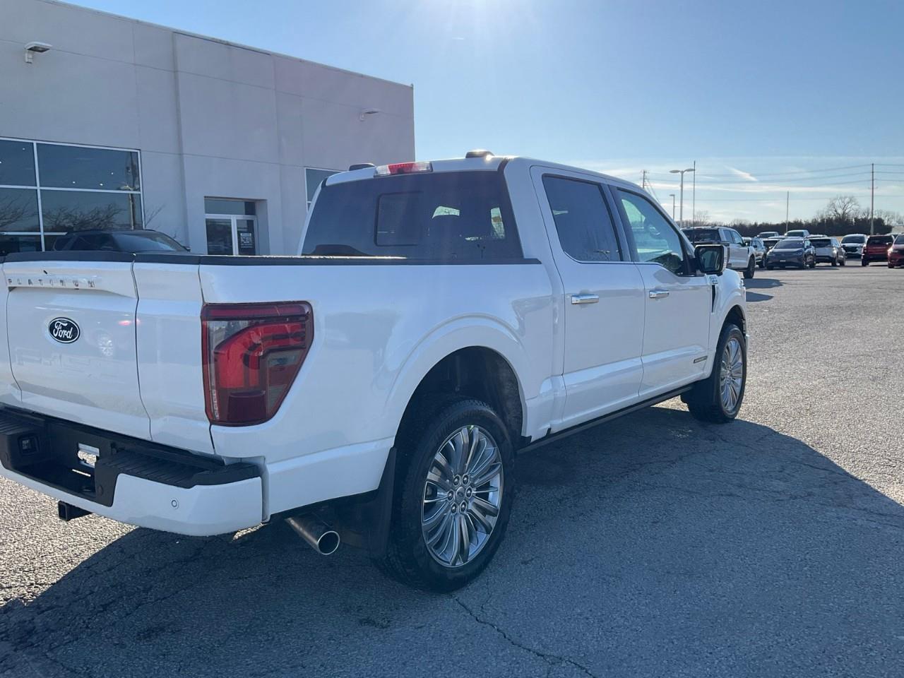 2026 Ford F-150 Platinum Photo