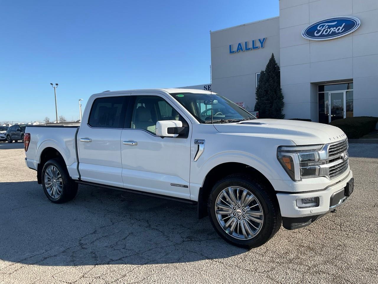 2026 Ford F-150 Platinum Photo