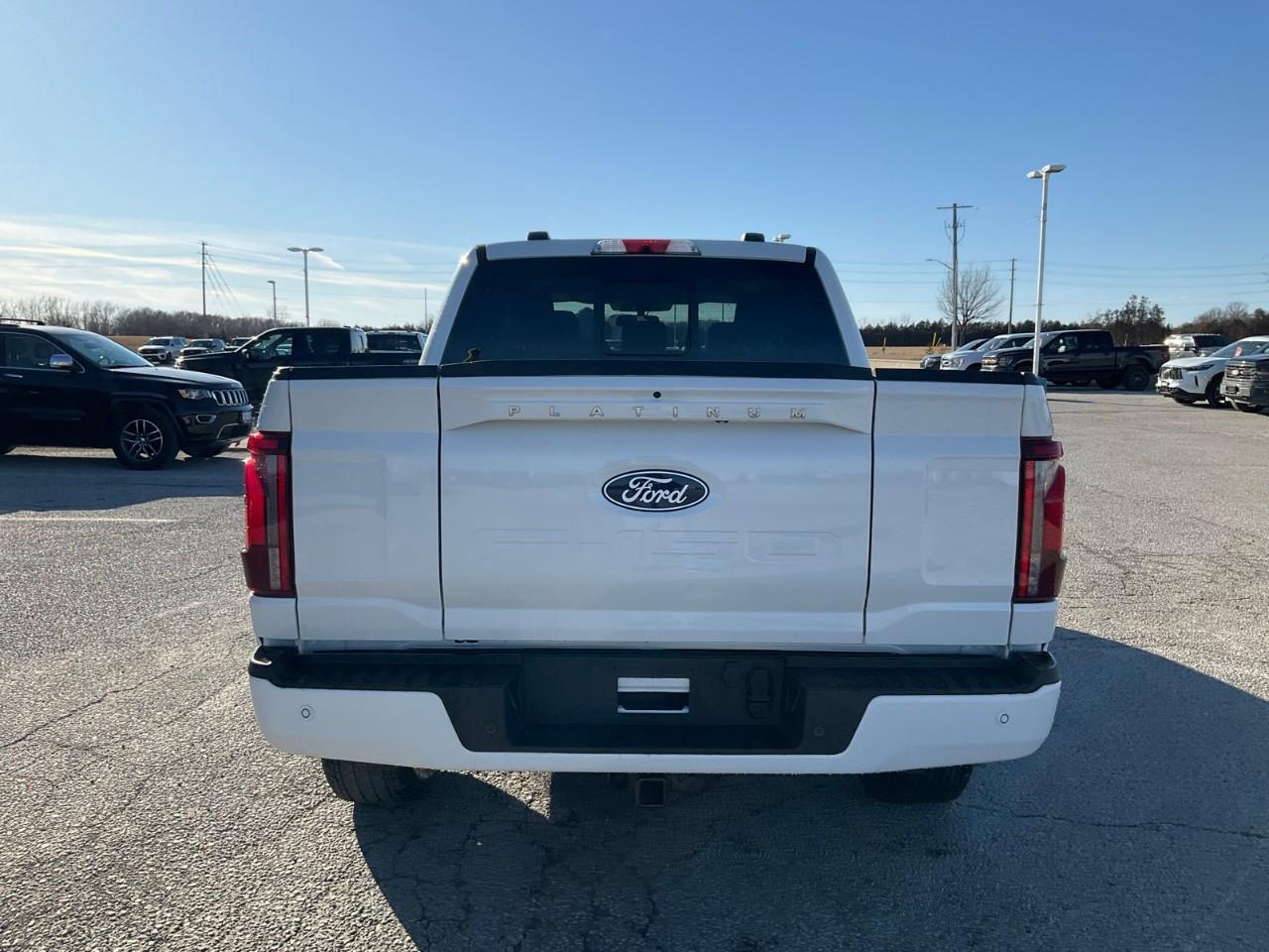 2026 Ford F-150 Platinum Photo