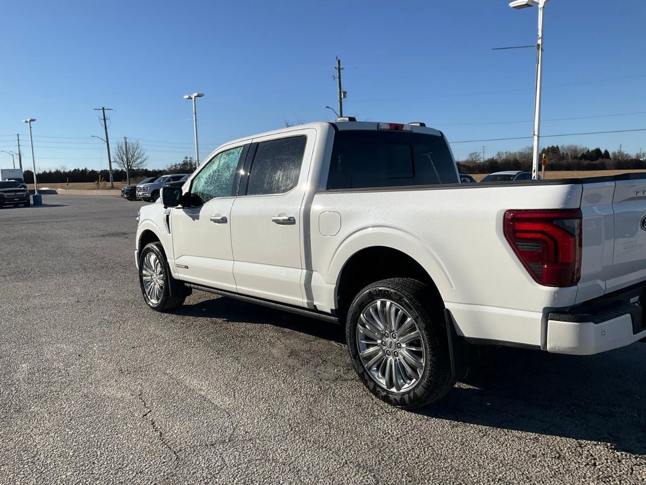 2026 Ford F-150 Platinum Photo