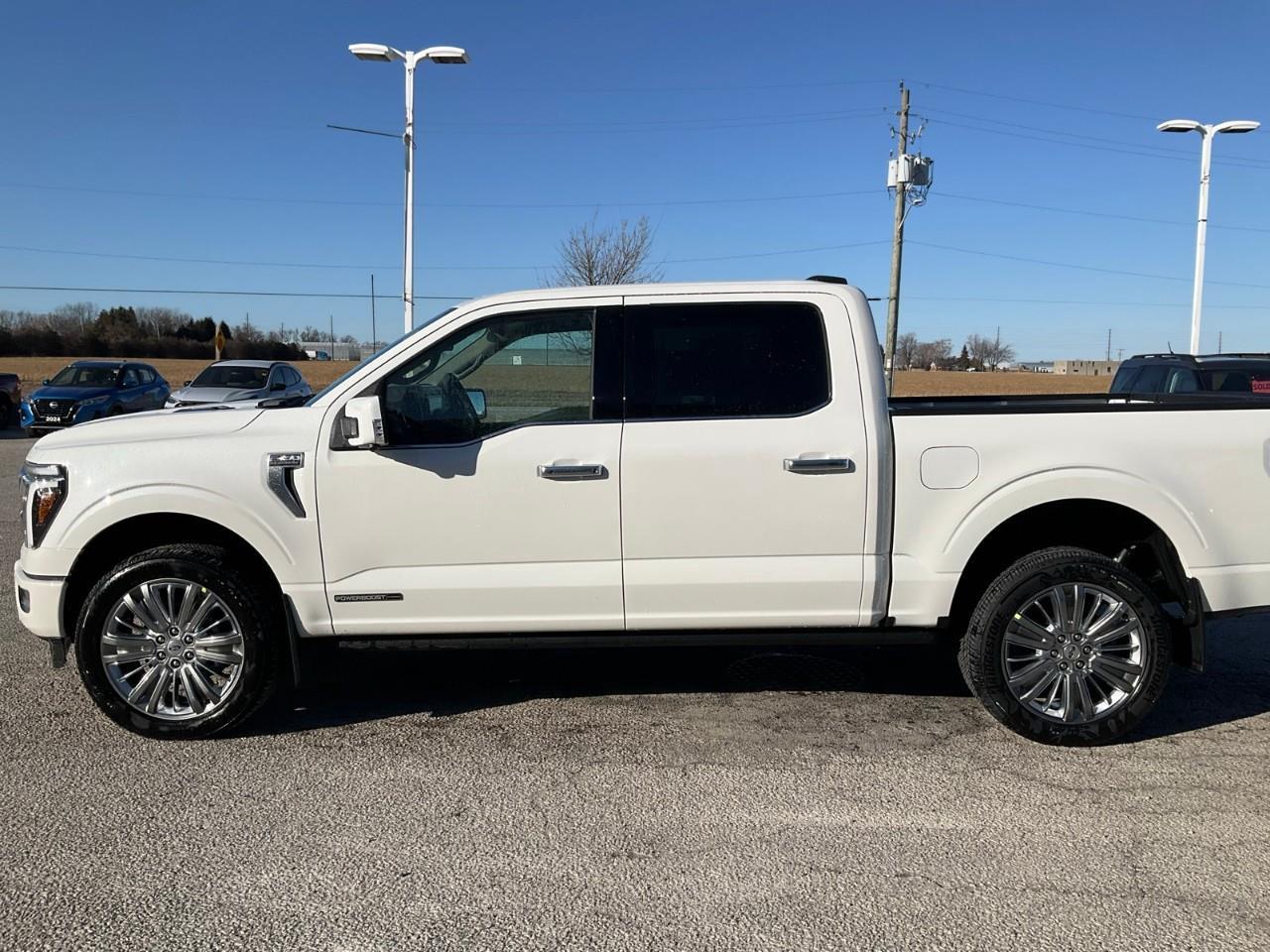 2026 Ford F-150 Platinum Photo
