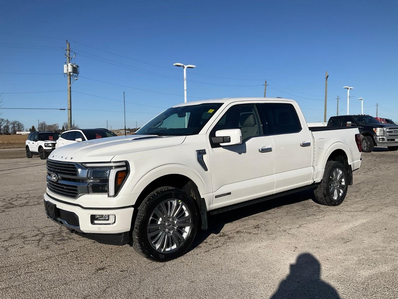 2026 Ford F-150 Platinum Photo
