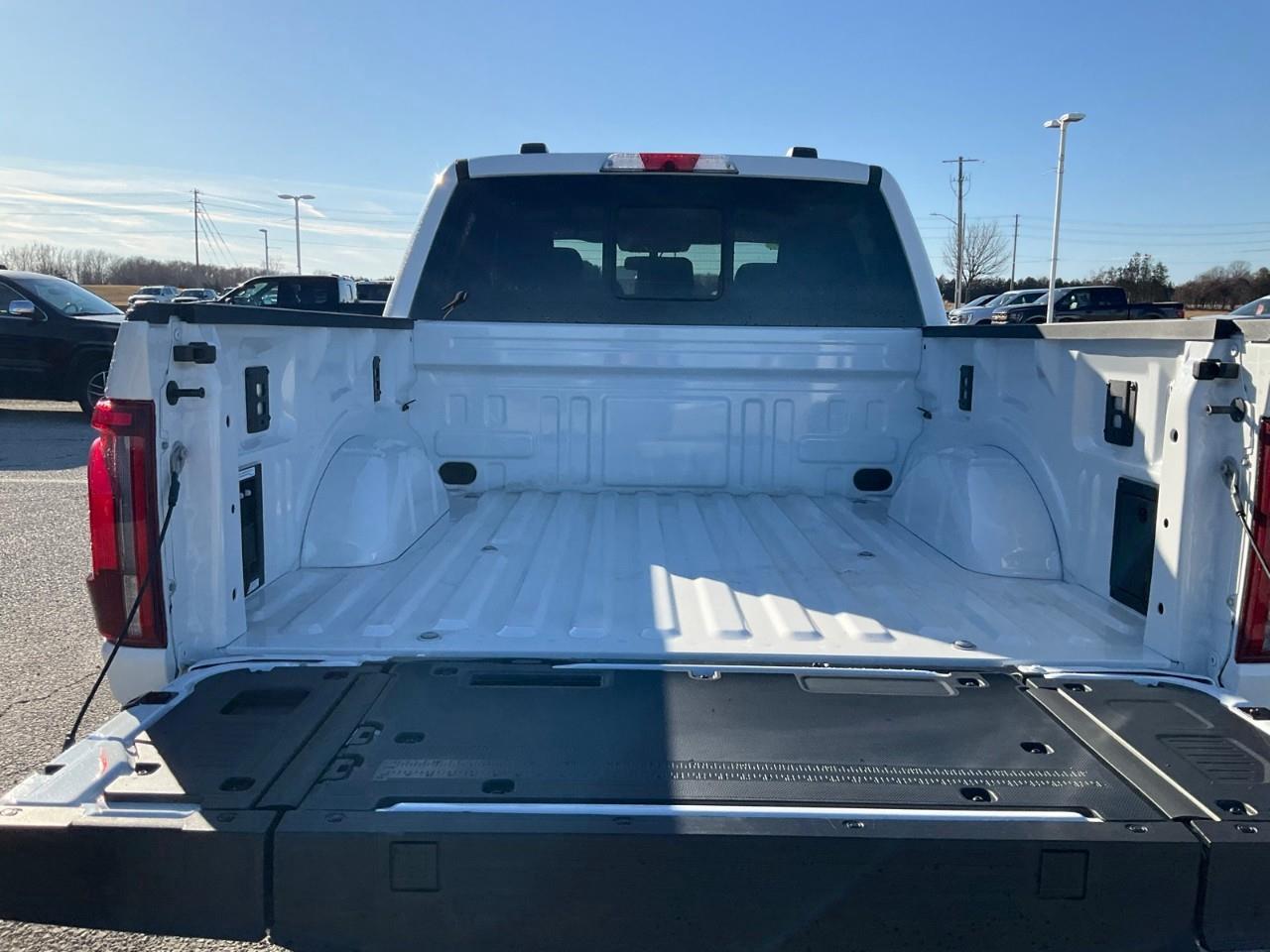 2026 Ford F-150 Platinum Photo