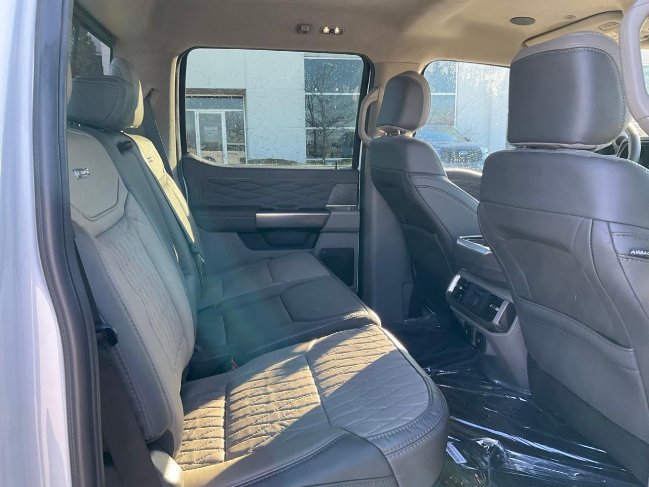 2026 Ford F-150 Platinum Photo