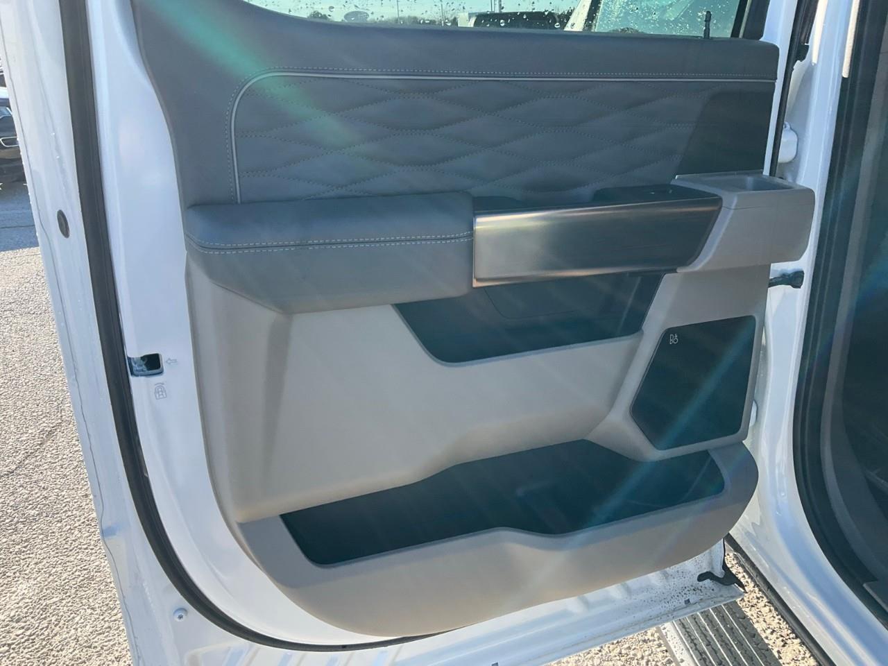 2026 Ford F-150 Platinum Photo
