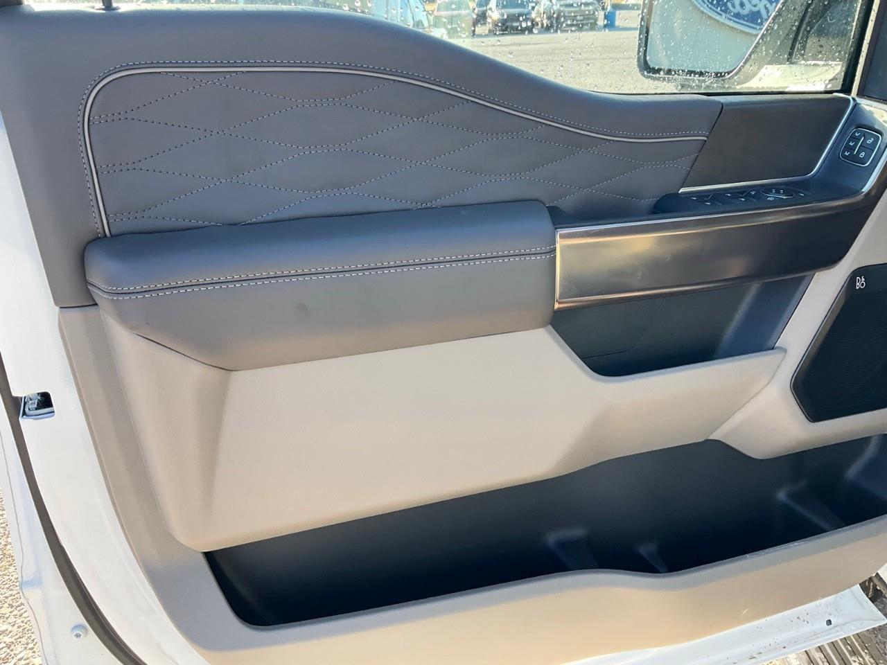 2026 Ford F-150 Platinum Photo