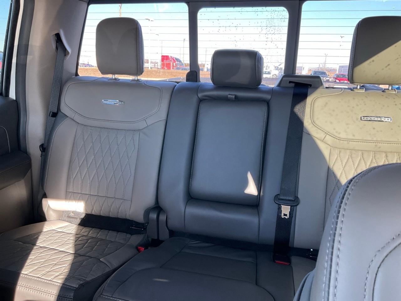 2026 Ford F-150 Platinum Photo