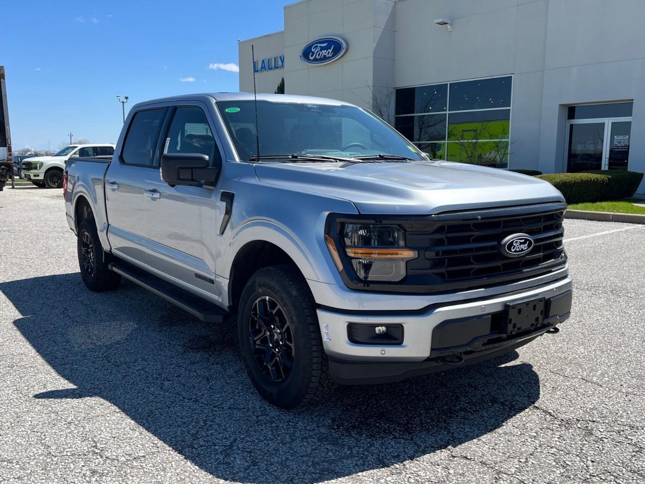 2026 Ford F-150 XLT Photo