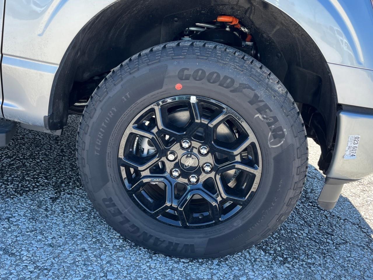 2026 Ford F-150 XLT Photo