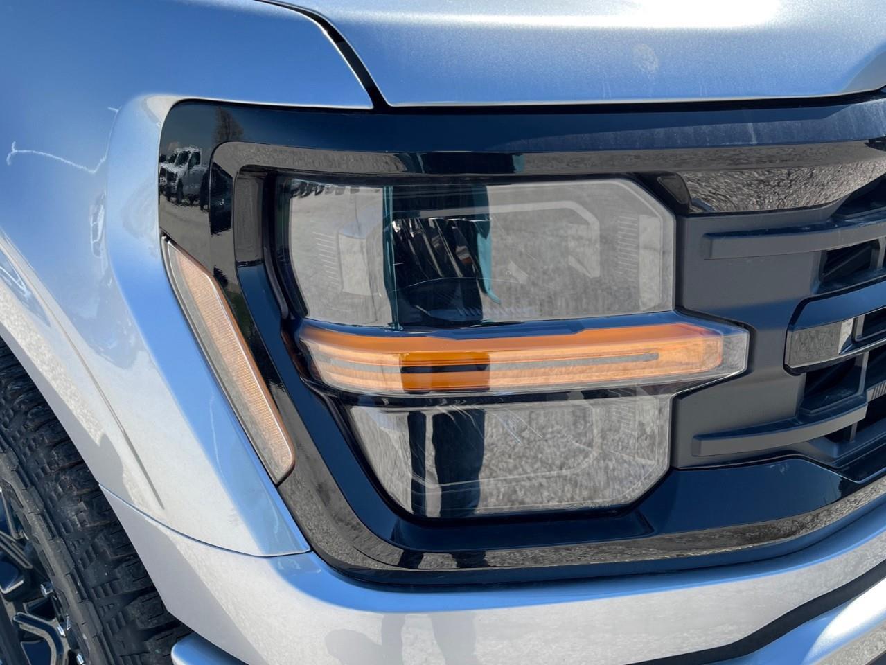 2026 Ford F-150 XLT Photo