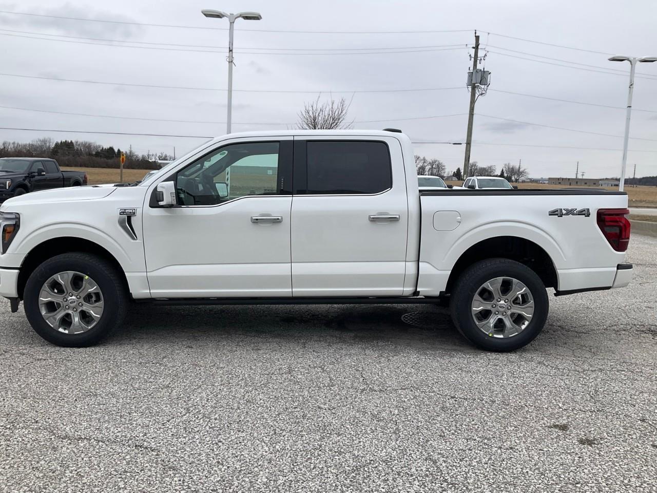 2026 Ford F-150 Platinum Photo