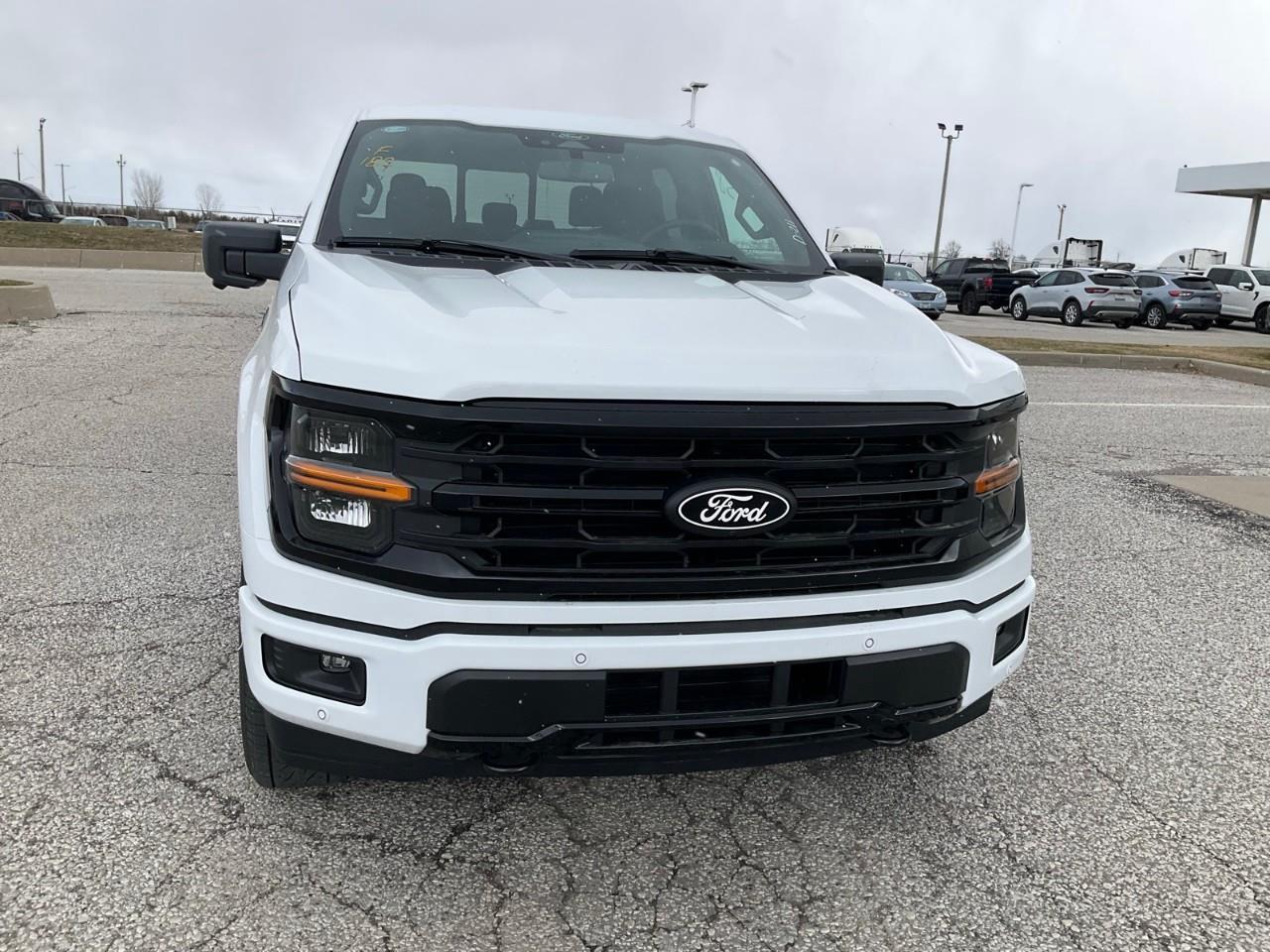 2026 Ford F-150 XLT Photo