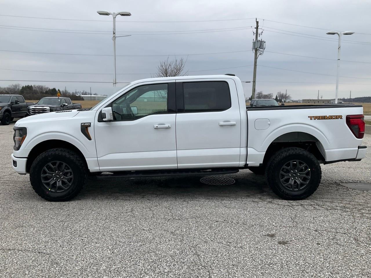 2026 Ford F-150 Tremor Photo