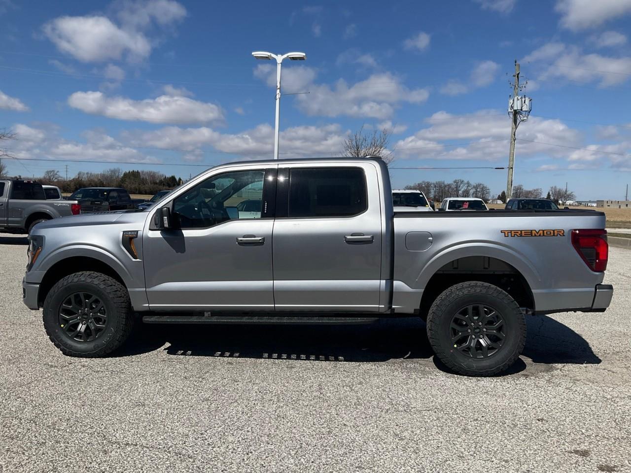 2026 Ford F-150 Tremor Photo
