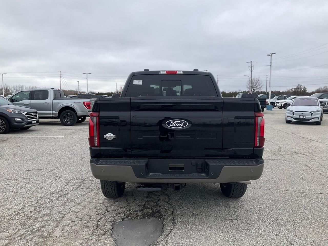 2026 Ford F-150 King Ranch Photo