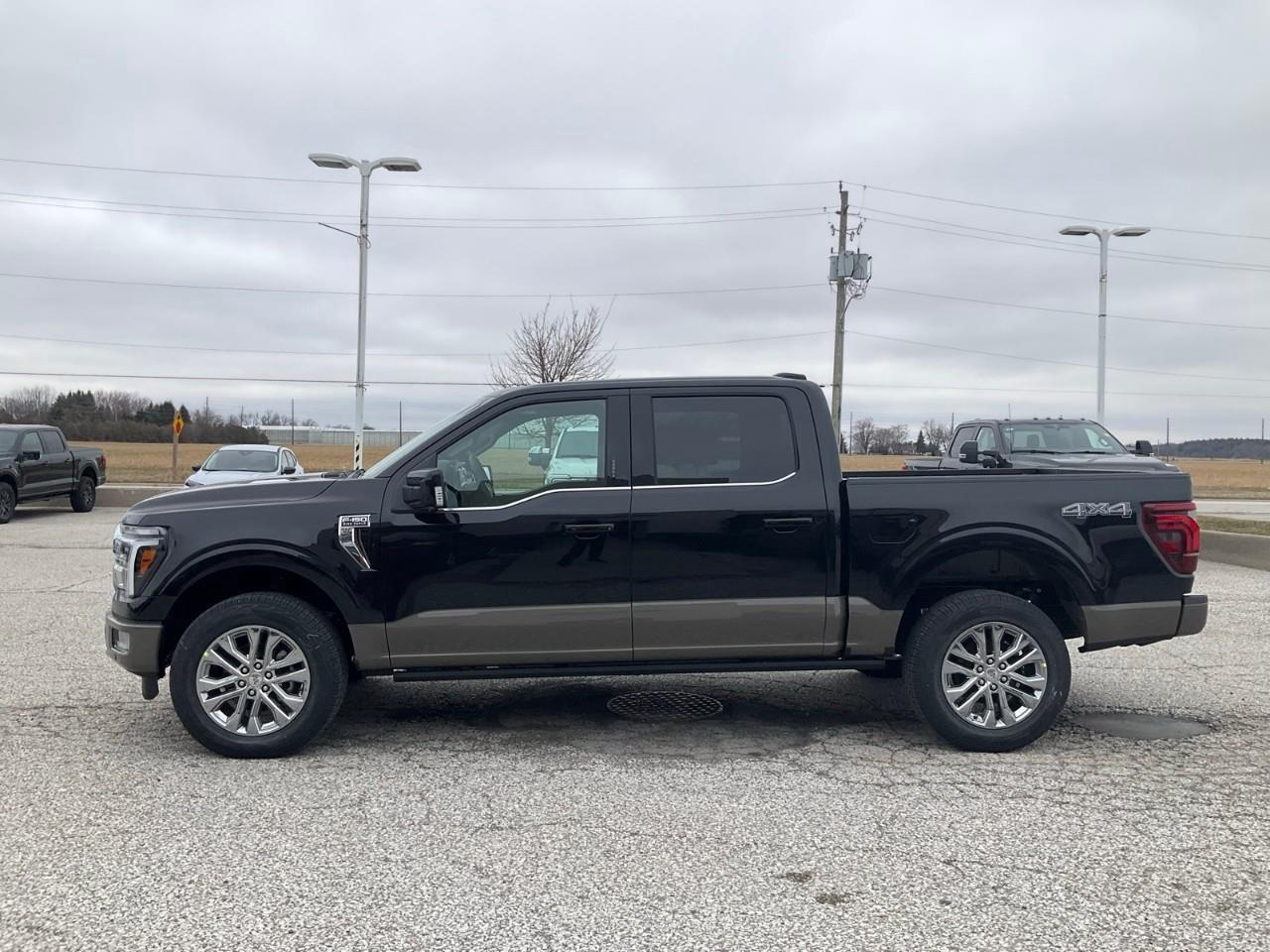 2026 Ford F-150 King Ranch Photo