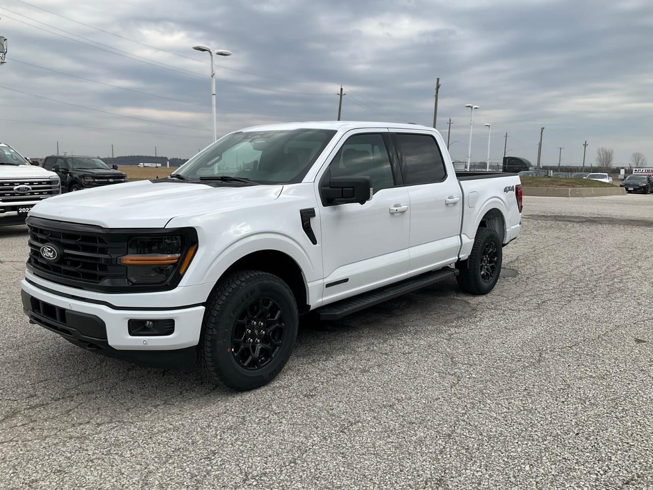 2026 Ford F-150 XLT Photo