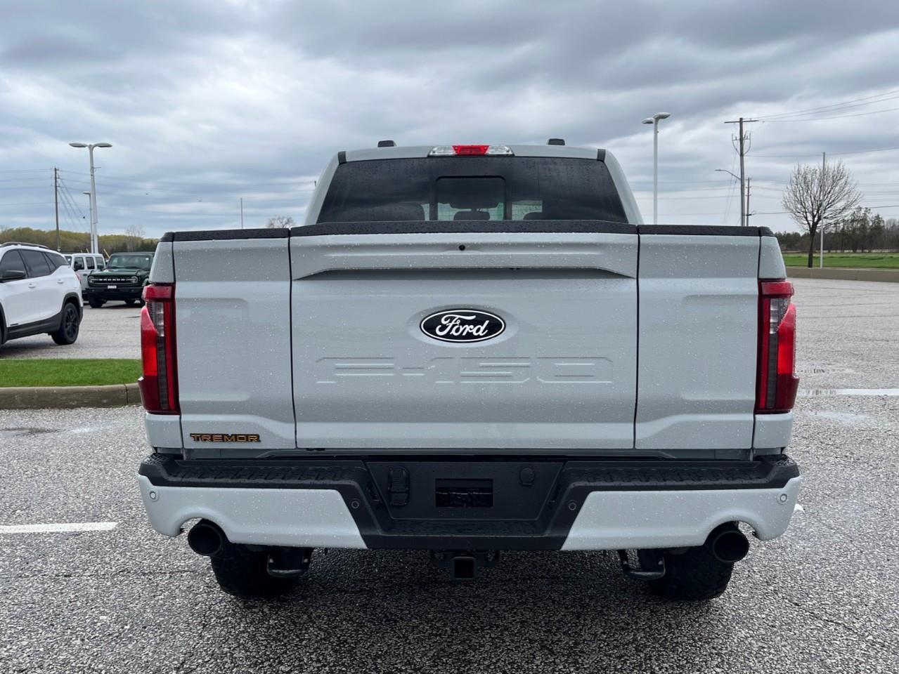 2026 Ford F-150 Tremor Photo