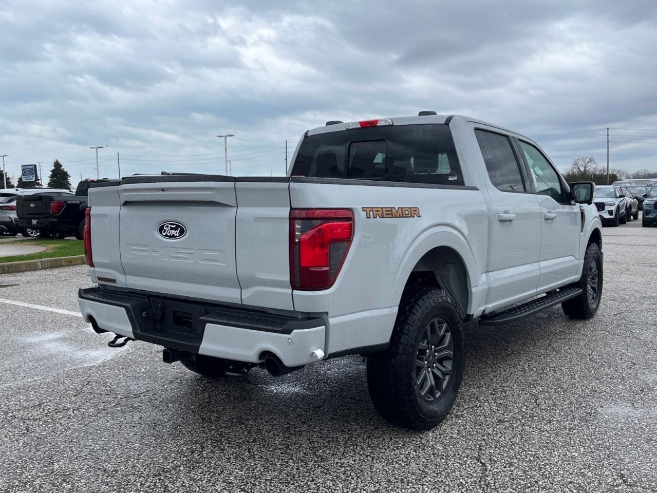 2026 Ford F-150 Tremor Photo