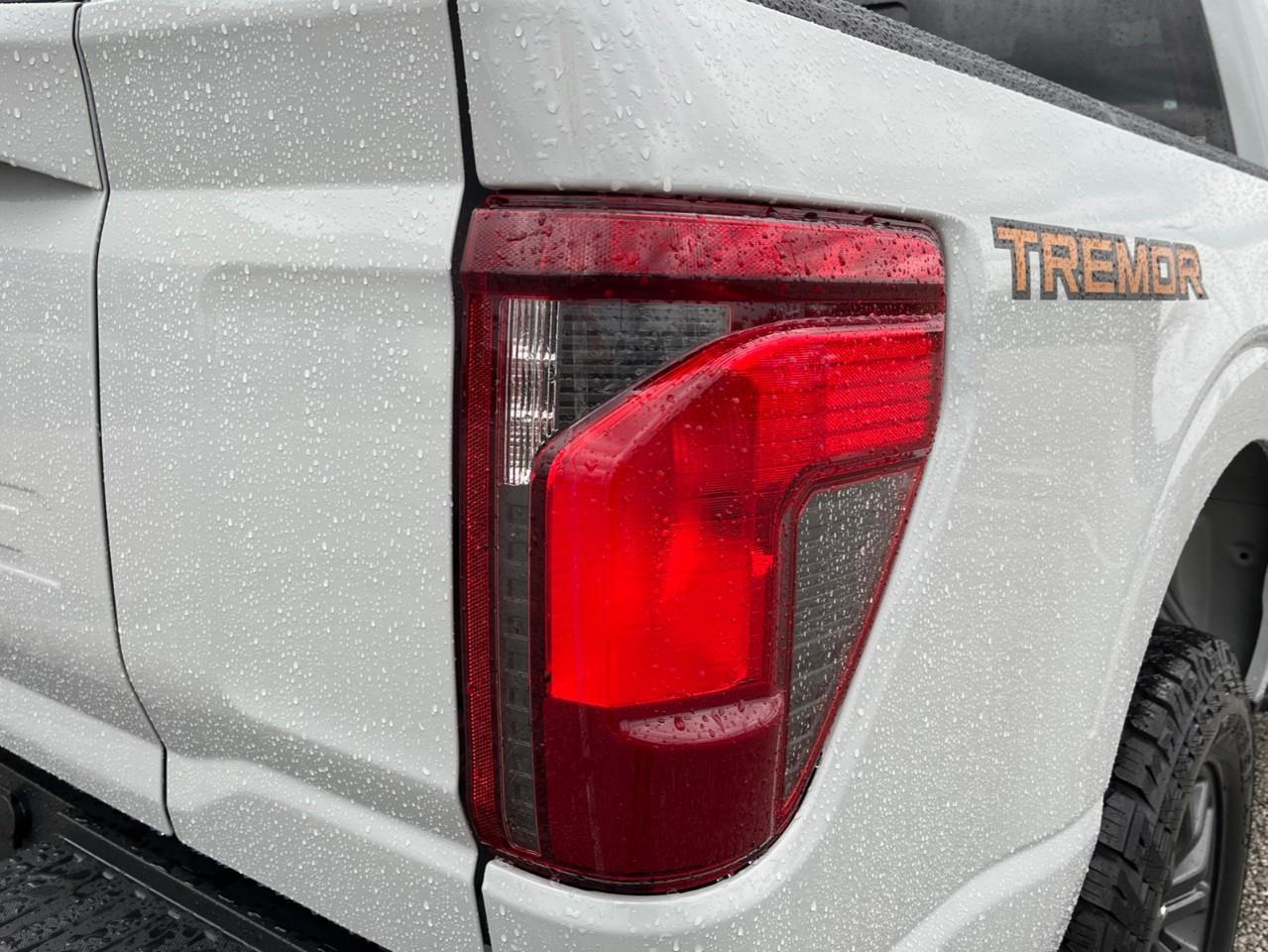 2026 Ford F-150 Tremor Photo