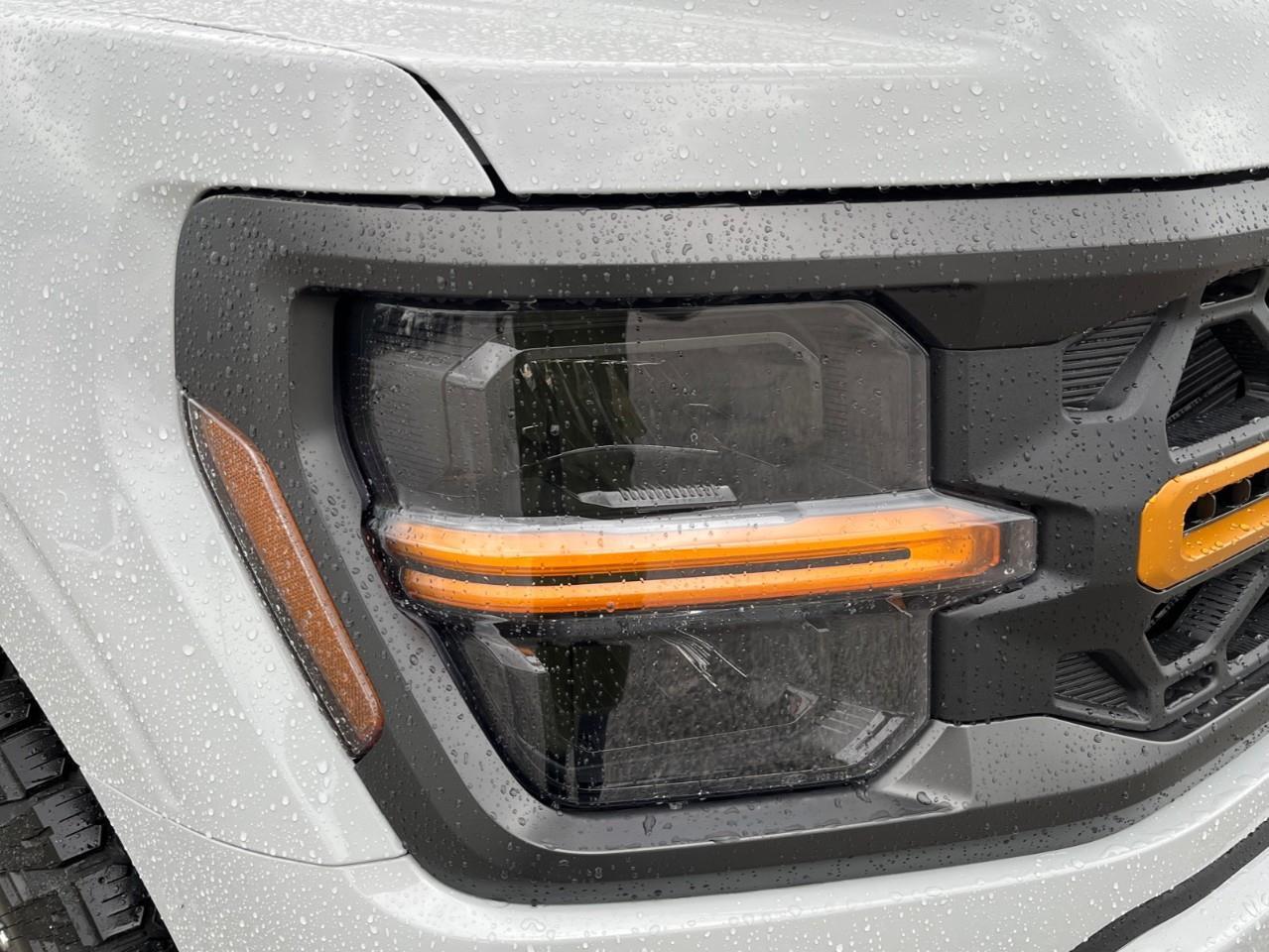 2026 Ford F-150 Tremor Photo
