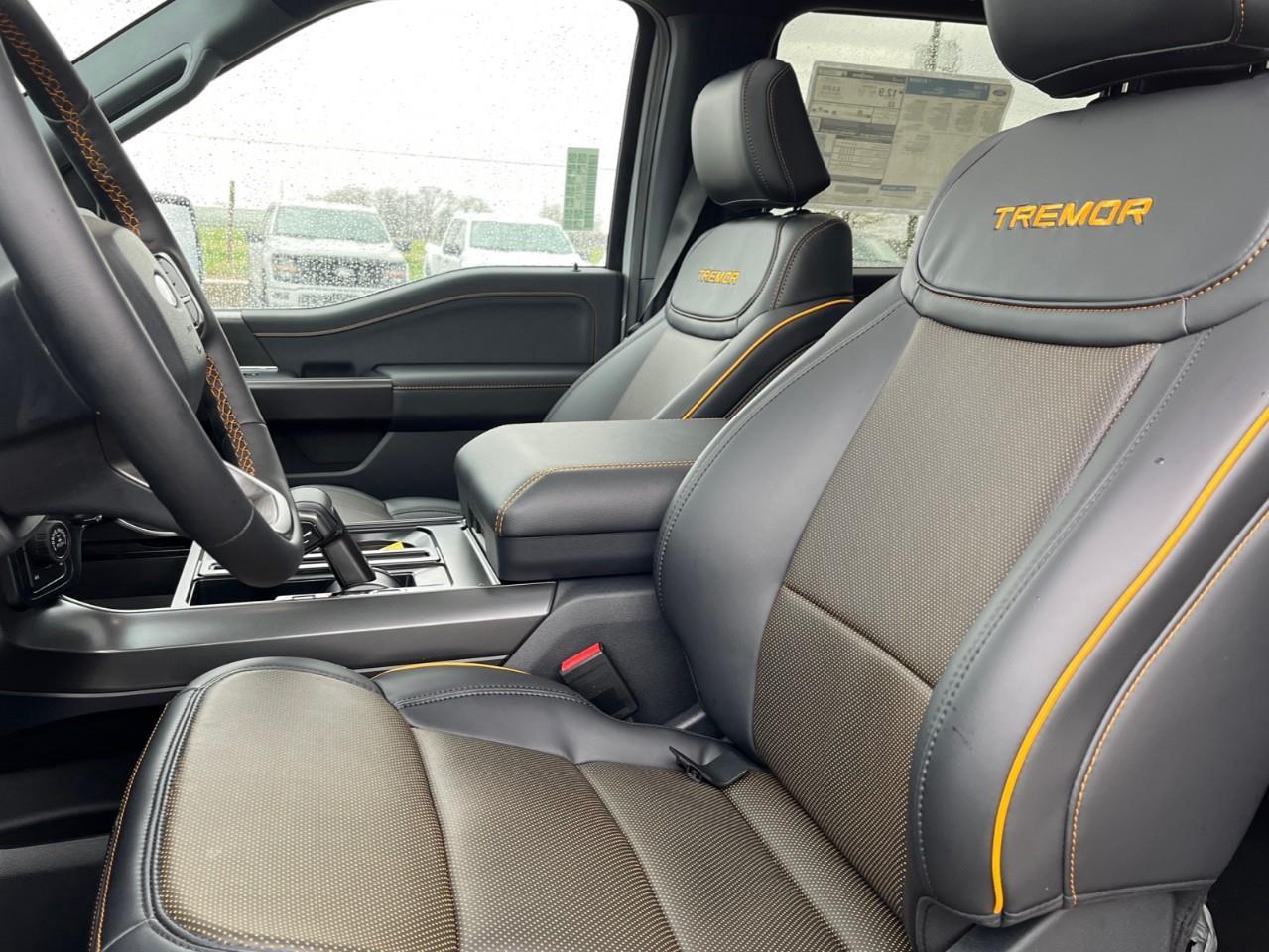 2026 Ford F-150 Tremor Photo