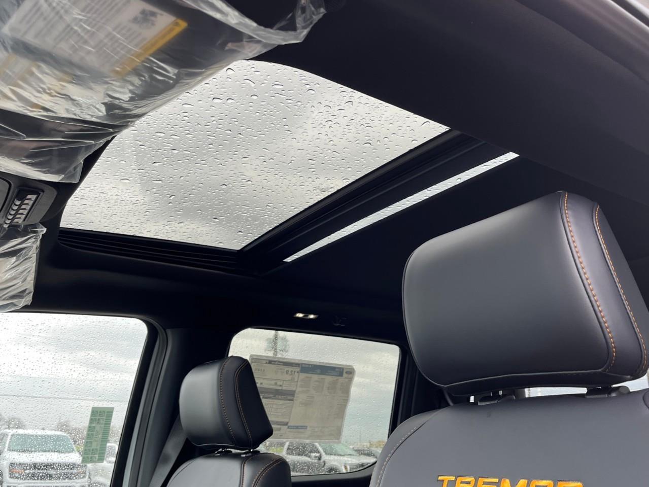 2026 Ford F-150 Tremor Photo