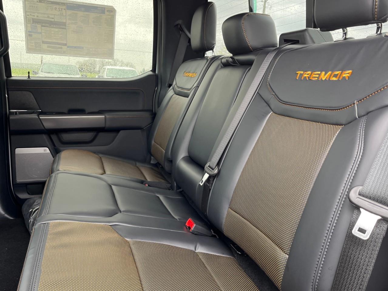 2026 Ford F-150 Tremor Photo