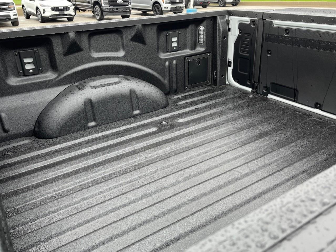 2026 Ford F-150 Tremor Photo