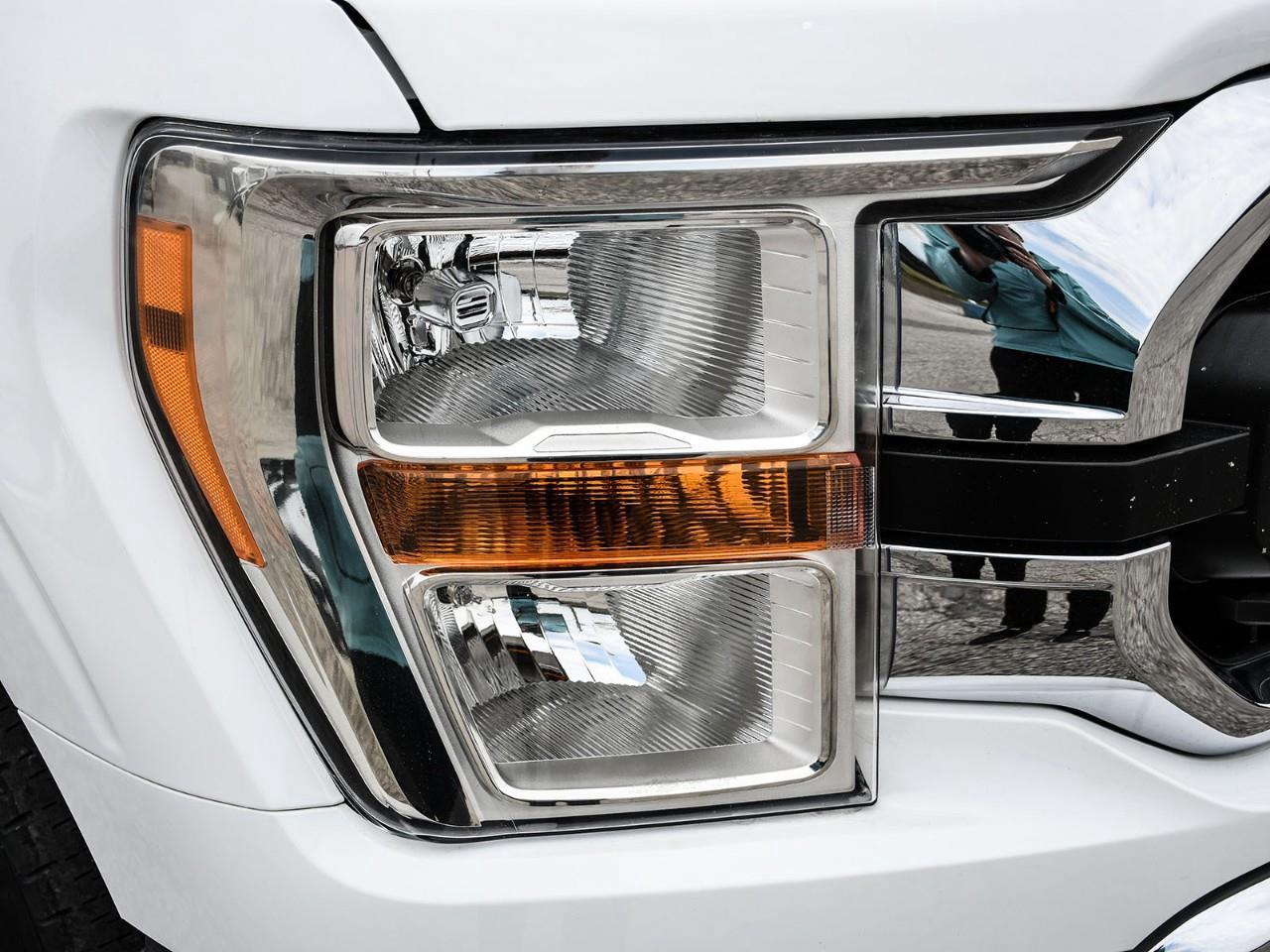 2022 Ford F-150 XLT Photo