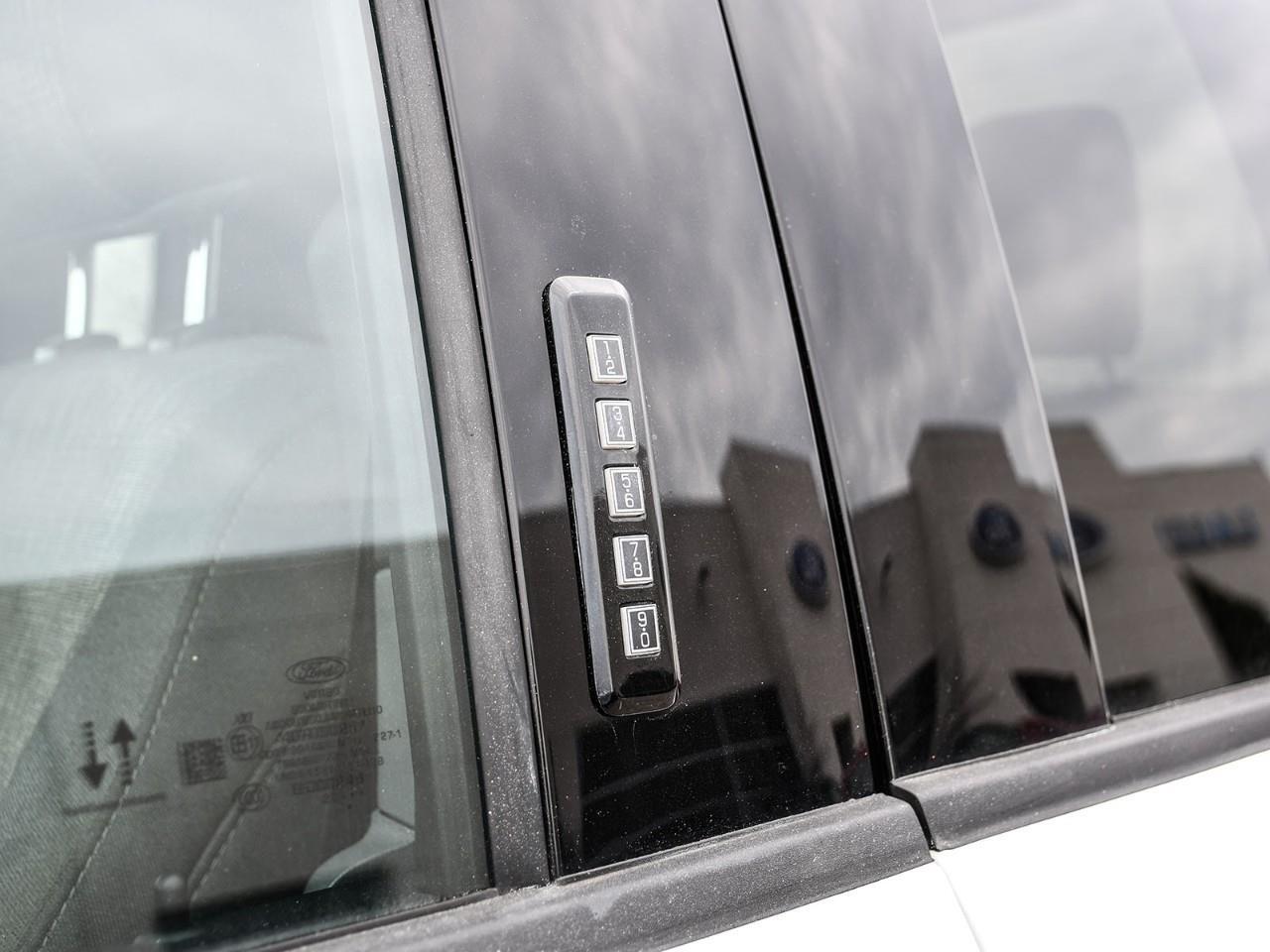 2022 Ford F-150 XLT Photo