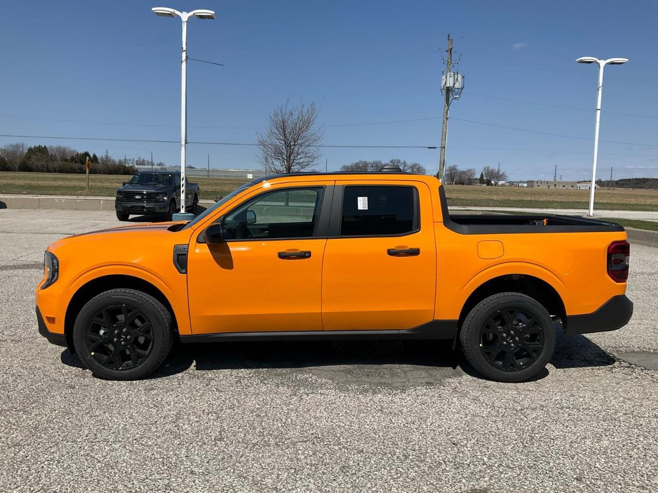 2026 Ford Maverick XLT Photo