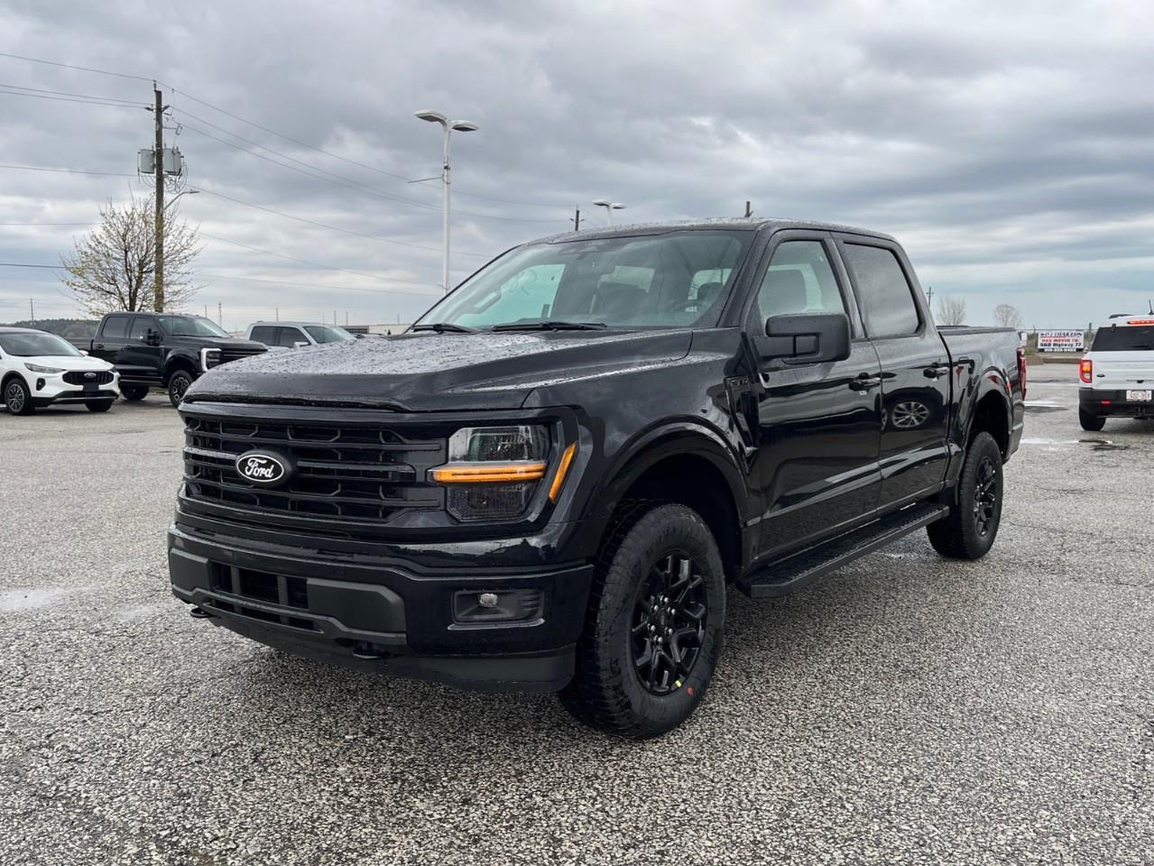 2026 Ford F-150 XLT Photo3
