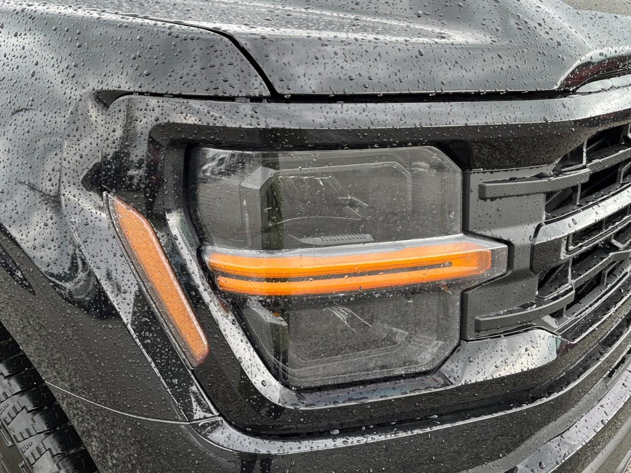 2026 Ford F-150 XLT Photo