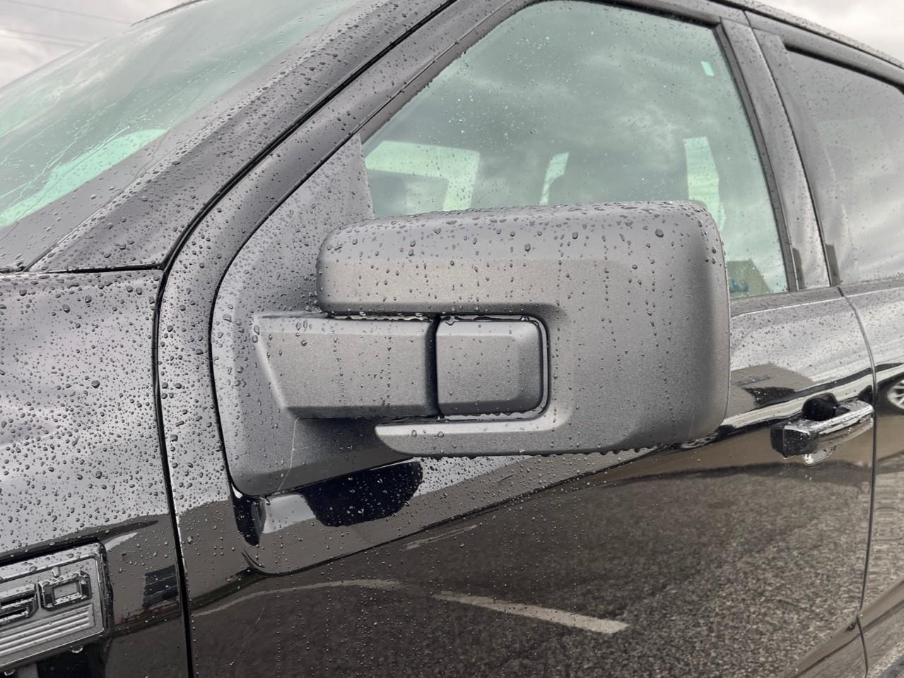 2026 Ford F-150 XLT Photo