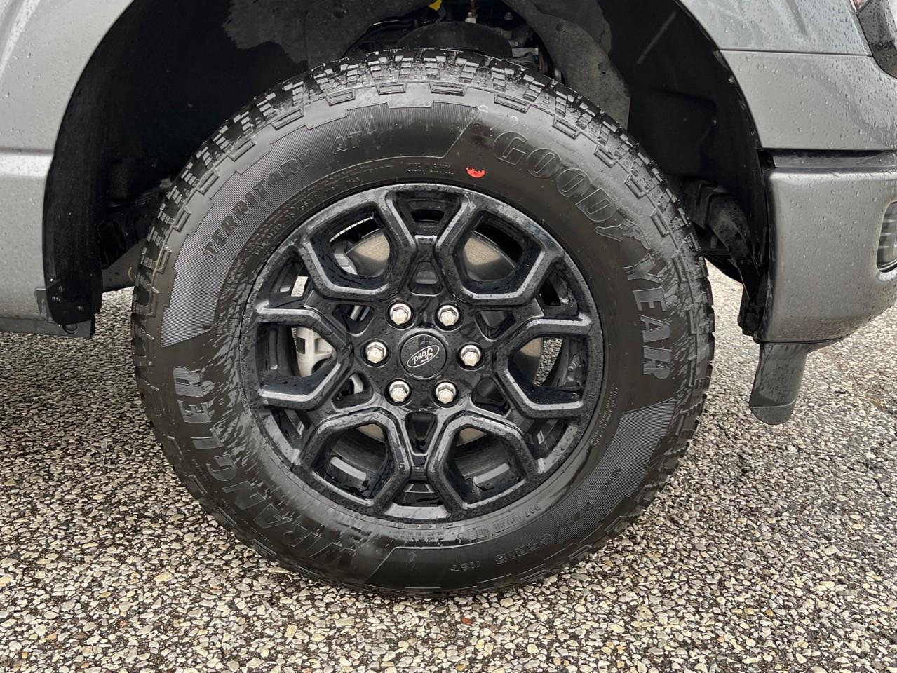 2026 Ford F-150 XLT Photo