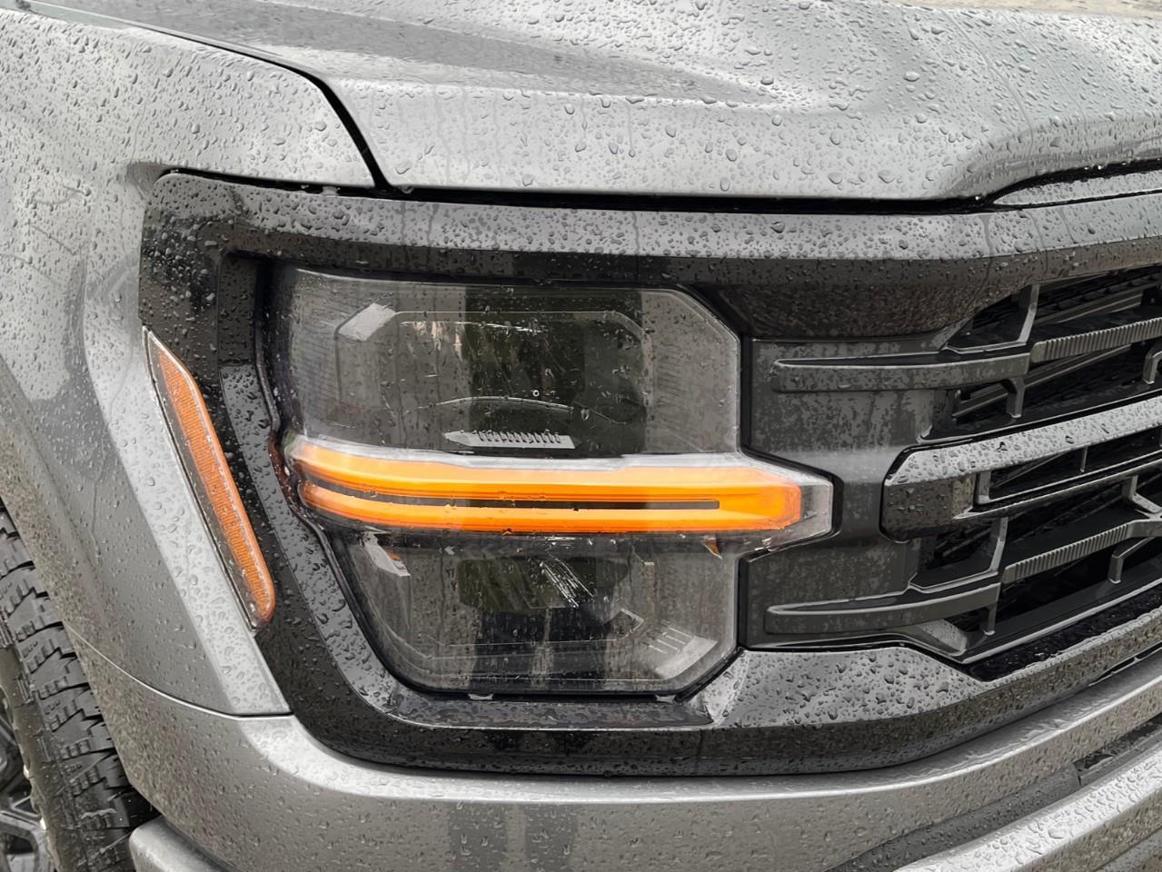 2026 Ford F-150 XLT Photo