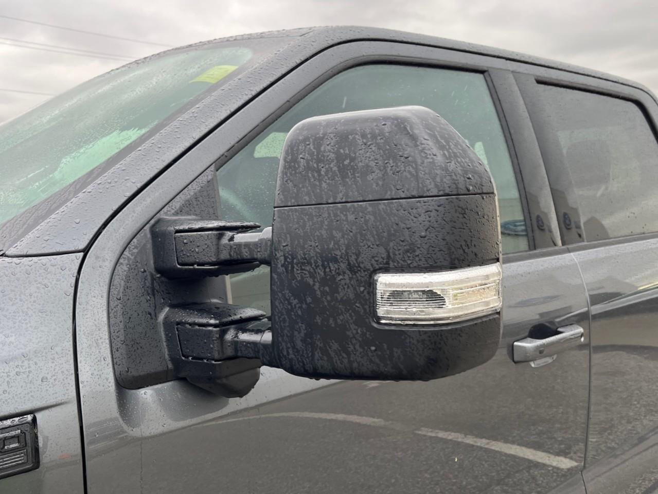 2026 Ford F-150 XLT Photo