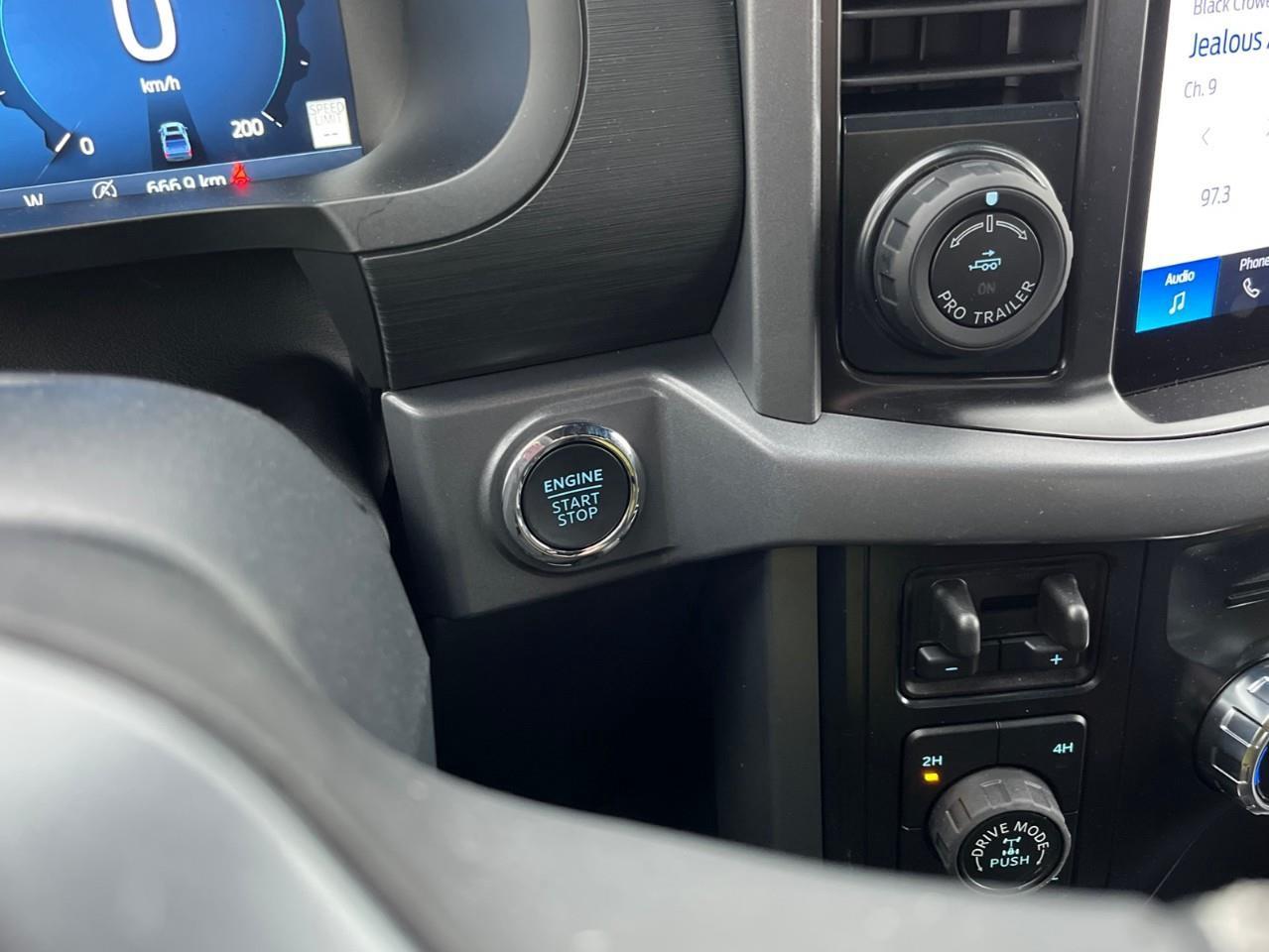 2026 Ford F-150 XLT Photo