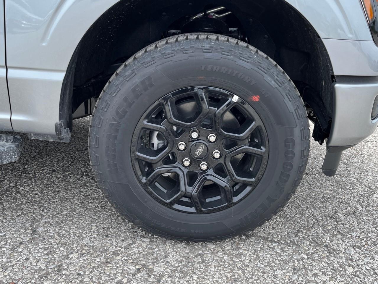 2026 Ford F-150 XLT Photo