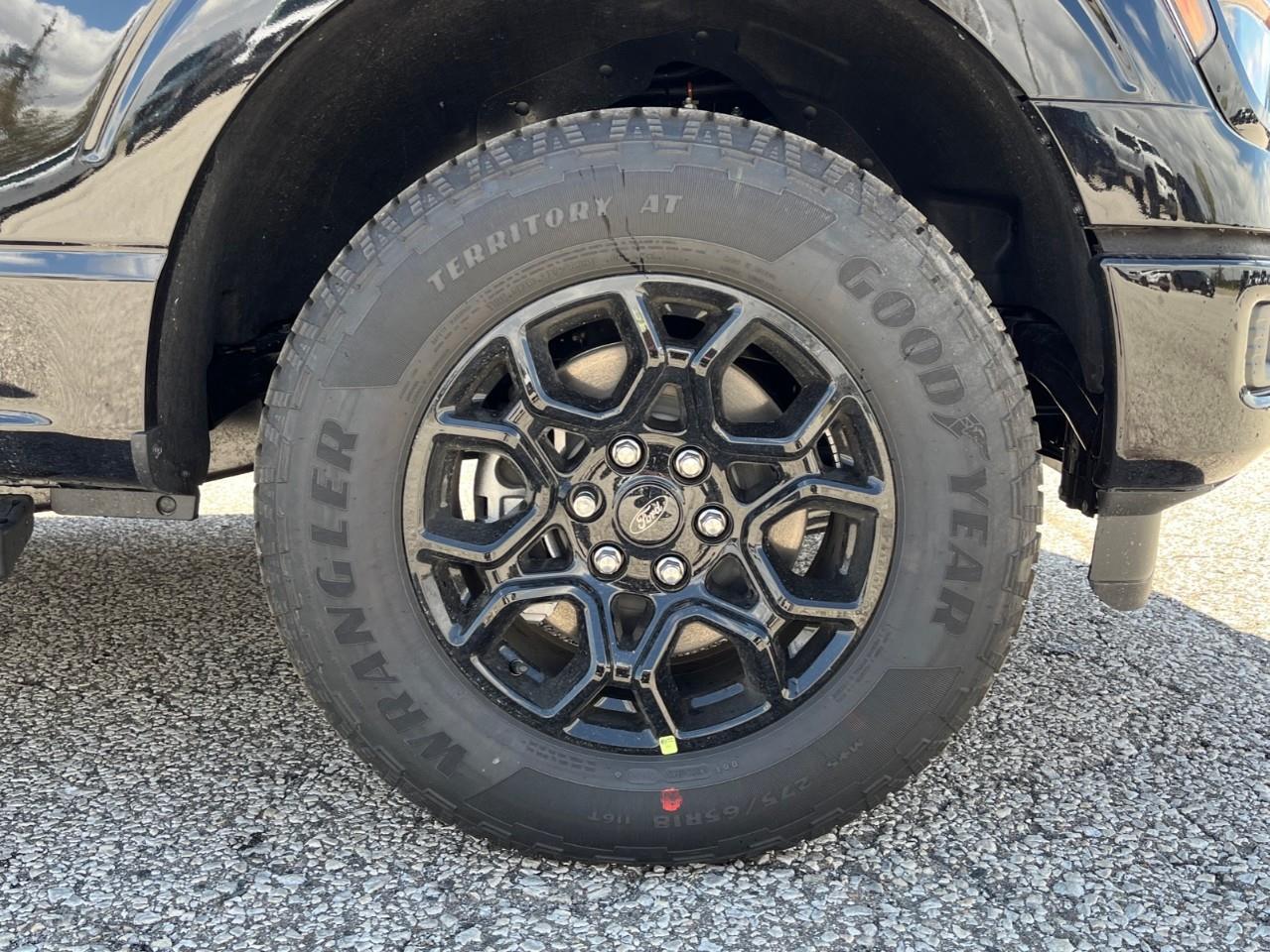 2026 Ford F-150 XLT Photo