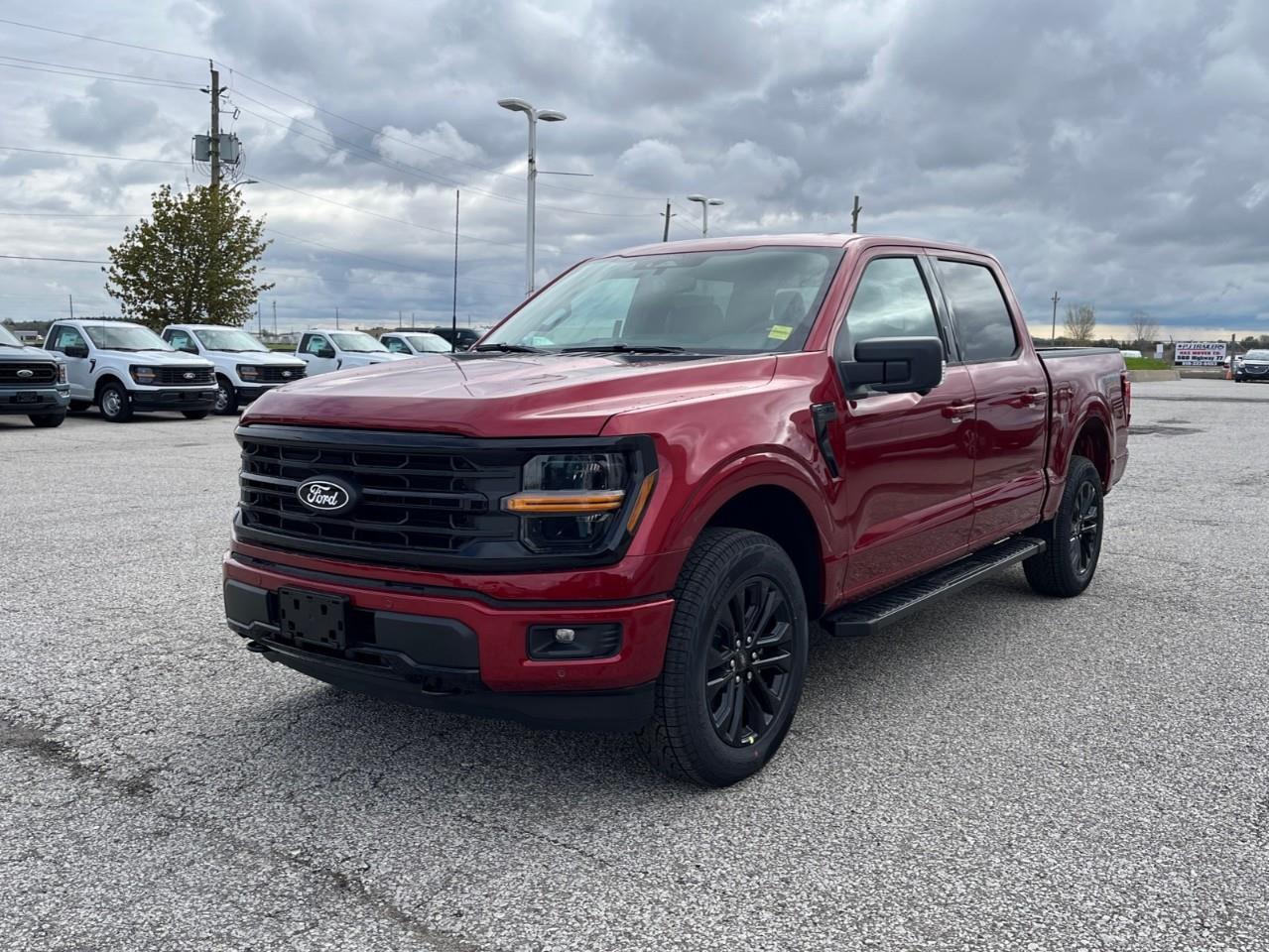 2026 Ford F-150 XLT Photo
