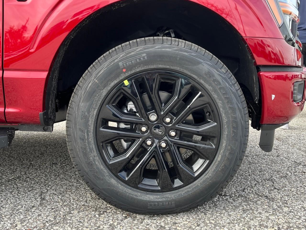 2026 Ford F-150 XLT Photo