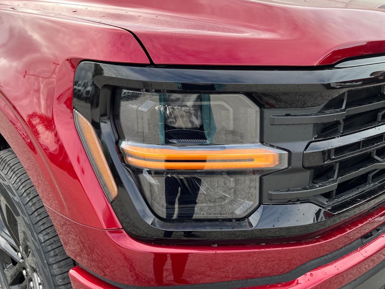 2026 Ford F-150 XLT Photo