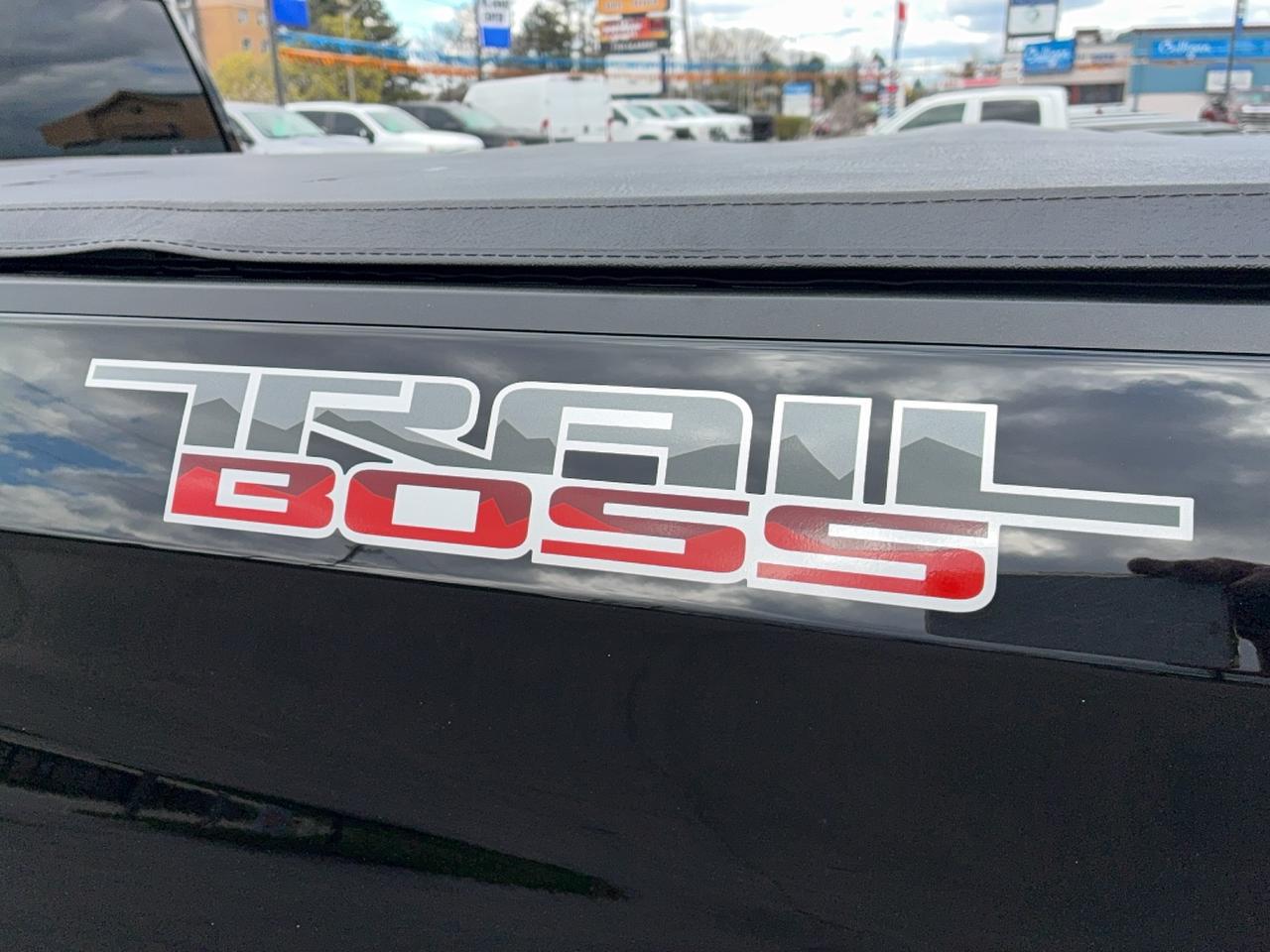 2024 Chevrolet Silverado 1500 CustomTrailBoss Z71 CrewCab4WD 5.3L8cylGas 6'7"Box Photo